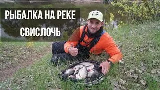 ПОПАЛИ НА ВЫХОД РЫБЫ - РЫБАЛКА НА РЕКЕ СВИСЛОЧЬ
