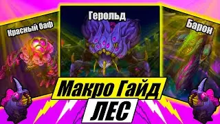 Макро Гайд Лес - Как Побеждать игры по Макро | Лига легенд | League of legends