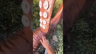 УЗНАЛИ, ЧТО ЭТО ЗА ЧУДОВИЩЕ?😬😬😬