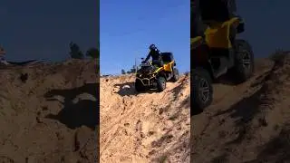 Стелс гепард едет. Даже 650 кубиков 