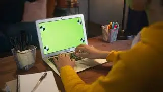 Woman works Laptop Green Screen video footage