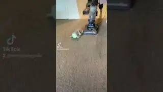 Baby Yoda conquers his fear of Vacuums. #Shorts