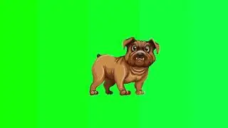11 animals green screen effect 