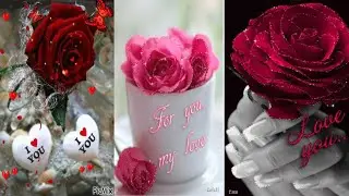 Miss you 😘 Wallpaper for love you 😘😘❣️❣️ DPZ ARE