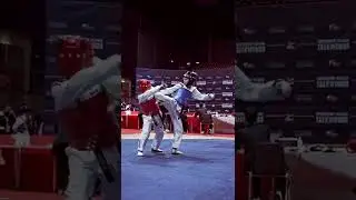 Taekwondo WTF фехтование ногй