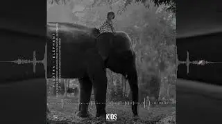 Flextra - Elephant