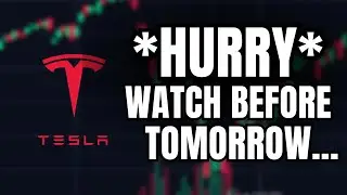 *CONFIRMED* The Stock Market is Crashing... (Tesla Stock)