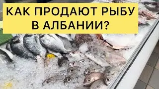КАК ПРОДАЮТ РЫБУ В АЛБАНИИ?