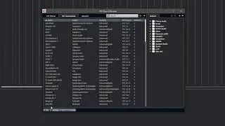 Cubase/Nuendo VST2 path