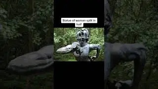 The Creepiest Things Ever Found In The Woods 