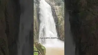Национальный парк Као Яй, экскурсия из Паттайи #тайланд