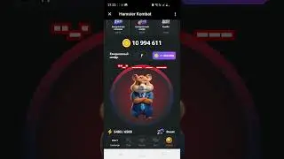 шифр код ХАМСТЕР КОМБАТ 25 26 июня забрать 1 млн монет 