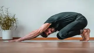 All Levels Animal Flow Based Yoga for BJJ Practice