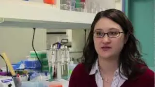 Interview with Bree Mitchell, Deputy Director, Canary Center at Stanford