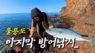 울릉도 떠나는 날, 유종의 미? 아버지와 마지막 방어낚시 도전