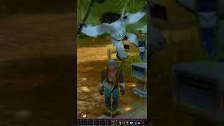 Entering Goldshire for the first time 