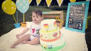 Estúdio Fabíola Masson - Smash The Cake Tobias