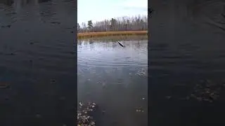 НЕПОТОПЛЯЕМЫЙ КАТЕР для ЛОВЛИ ЩУК на ЖИВЦА с ПОПЛАВКОМ. 