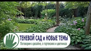 Видео журнал 