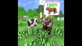 Funny Cows : Cat Or Tiger