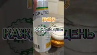 Пиво каждый день 