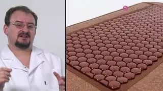 ДОКТОР ГОЛОД: Иммунитет