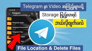 Telegram File Location and delete downloaded files