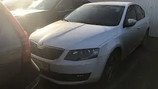 Осмотр Skoda Octavia для клиента. Как проверить DSG без компьютера