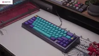 Omnitype Bauer Lite Build Stream