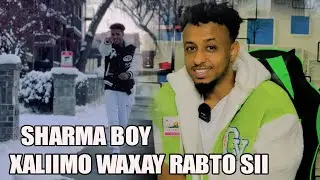 SHARMA BOY _ XALIIMO WAXAY RABTO SII _ TAN HEES WEY DHAAFTAY : REACTION BY: HASSAN SOYA