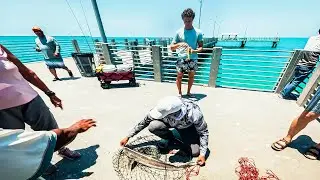 He Caught a Giant at Fort De Soto Pier