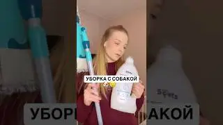 УБОРКА С СОБАКОЙ 
