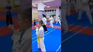 отработка удара майагири маваши гери дзедан