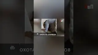 Соцработники накачивали пенсионеров таблетками ради квартир  