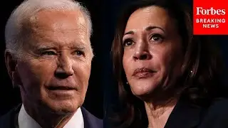 'Biden Jr.': These Are Kamala Harris's Key Weaknesses Among Voters, According To Top Pollster