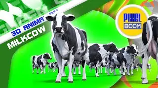 Green Screen Milkcow, Farm Animals 3D Animations - PixelBoom