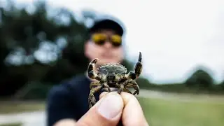 How to Catch Your Own Bait For Saltwater Fishing