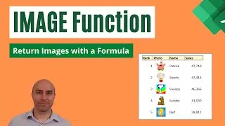 Excel IMAGE Function - Images in Excel Using a Formula