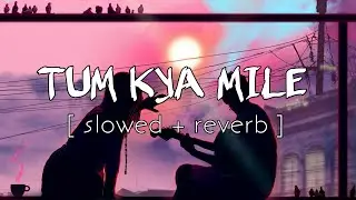 Tum Kya Mile (Slowed + Reverb) Song | Ranveer | Alia | Arjit | Rocky Aur Rani Ki Prem Kahaani