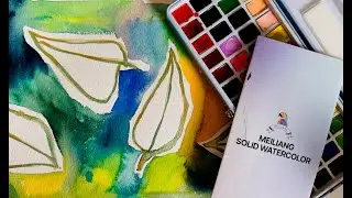 Meilaing 52 color watercolor set - Artist Review