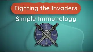 Fighting the Invaders: Simple Immunology