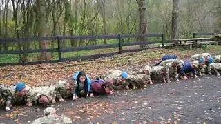 Дисципліна - наш порядок.