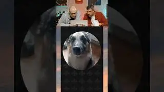 ЗАСМЕЯЛСЯ-ПОДПИСАЛСЯ! СМЕХ С ВОДОЙ 206😂😅  
