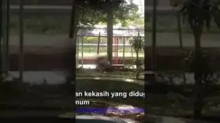 Viral, Aksi Dua Pasang Kekasih Mesum di Taman Firdaus Pinrang 