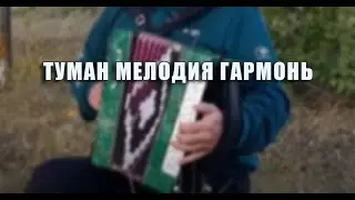Туман мелодия. Гармонь Чайка2.