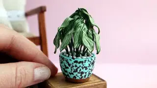 Miniature plant💚Polymer clay