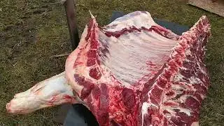 Продал всех быков