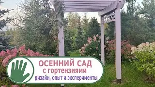Видео журнал 