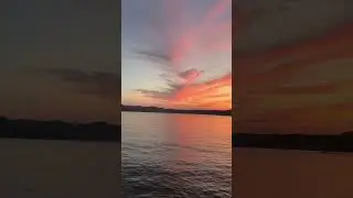 🌳🌅😍