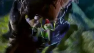 Inside a crocodile’s mouth (AAOFP)